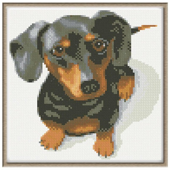 Adorable Dog 5D DIY Paint By Diamond Kit