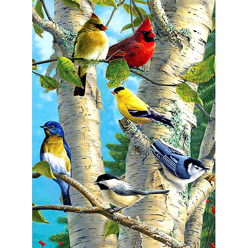 Colorful Birds 5D DIY Paint By Diamond Kit