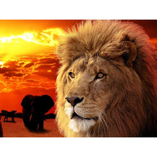 Twilight Lion 5D DIY Paint By Diamond Kit