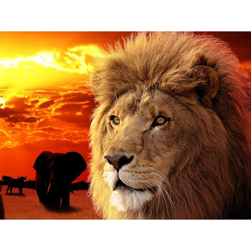 Twilight Lion 5D DIY Paint By Diamond Kit