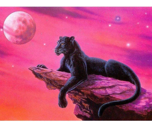 Black Cheetah 5D DIY Paint By Diamond Kit