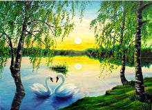Swan Lake 5D DIY Paint By Diamond Kit