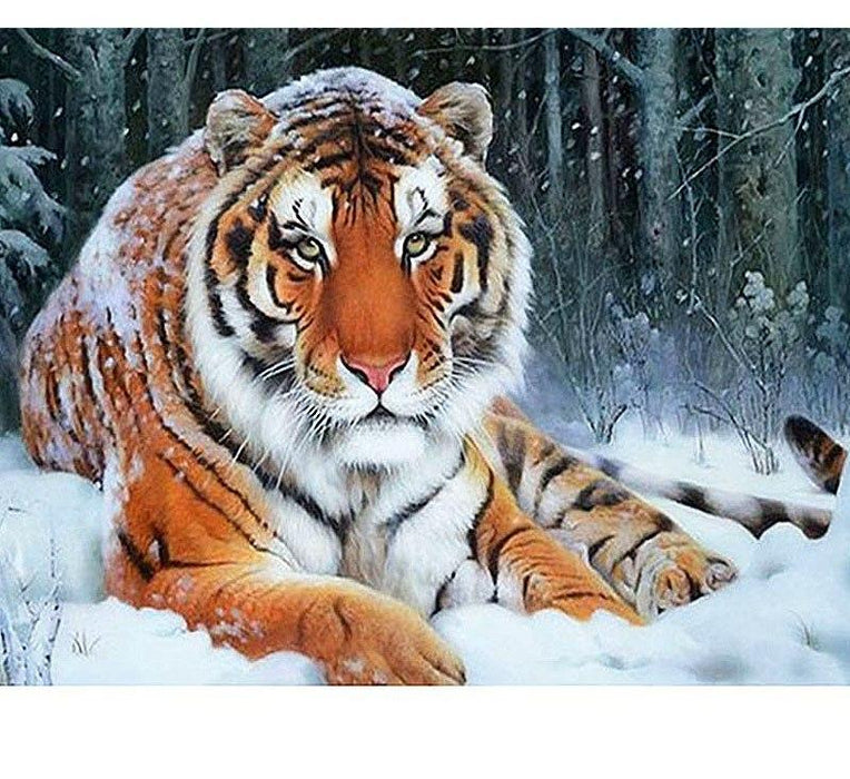 Tiger 5D DIY Paint By Diamond Kit