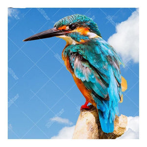 Kingfisher 5D DIY Paint By Diamond Kit