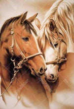 Two Horses 5D DIY Paint By Diamond Kit