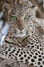 Green Eye Leopard 5D DIY Paint By Diamond Kit