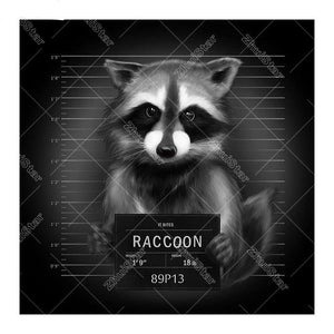 Raccoon 5D DIY Paint By Diamond Kit
