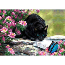 Black Cat 5D DIY Paint By Diamond Kit