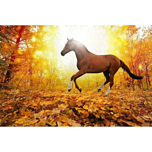 Horse 5D DIY Paint By Diamond Kit