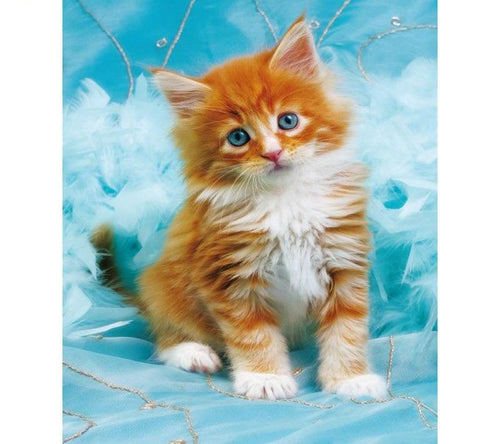 Cute Cat 5D DIY Paint By Diamond Kit