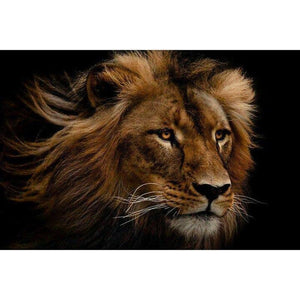 Lion Of The Jungle 5D DIY Paint By Diamond Kit