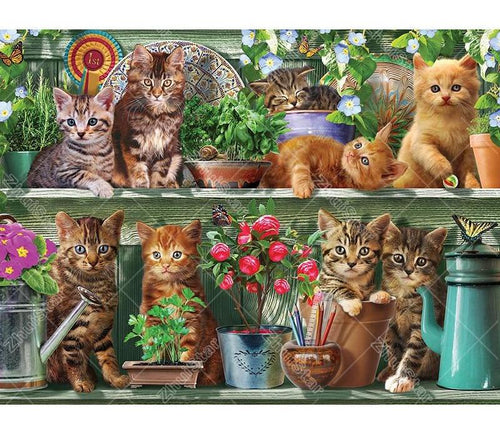 Cute Kittens 5D DIY Paint By Diamond Kit