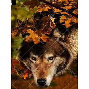 Well-behaved Wolf 5D DIY Paint By Diamond Kit