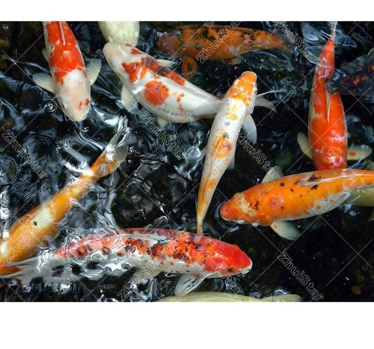 Koi Pond 5D DIY Paint By Diamond Kit