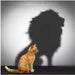 Cat To Lion 5D DIY Paint By Diamond Kit - Paint by Diamond