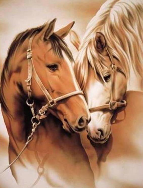 Horse Lovers 5D DIY Paint By Diamond Kit