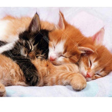 Cute Sleeping Kittens 5D DIY Paint By Diamond Kit