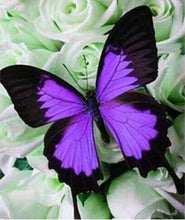 Purple Butterflies 5D DIY Paint By Diamond Kit