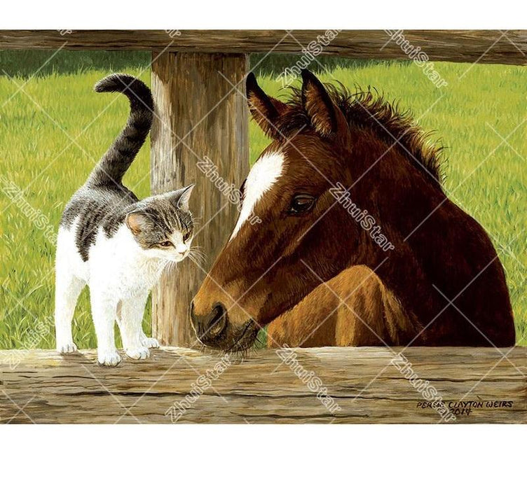 Horse & Cat 5D DIY Paint By Diamond Kit