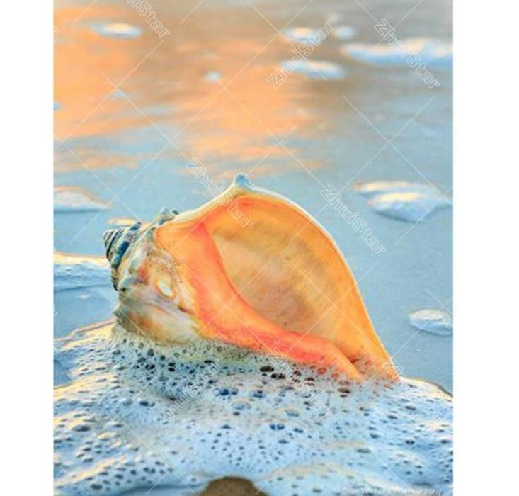 Sea Shell 5D DIY Paint By Diamond Kit