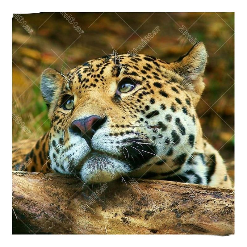 Leopard Closeup 5D DIY Paint By Diamond Kit