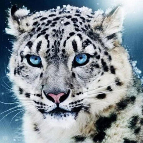 Snow Leopard 5D DIY Paint By Diamond Kit