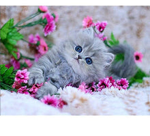 Cute Kitten 5D DIY Paint By Diamond Kit