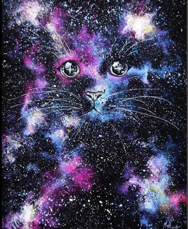Cat in a Starry Night 5D DIY Paint By Diamond Kit