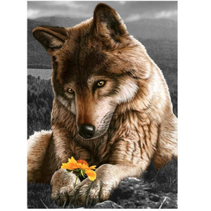 Wolf & The Flower
