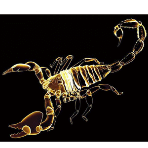 Golden Scorpion 5D DIY Paint By Diamond Kit