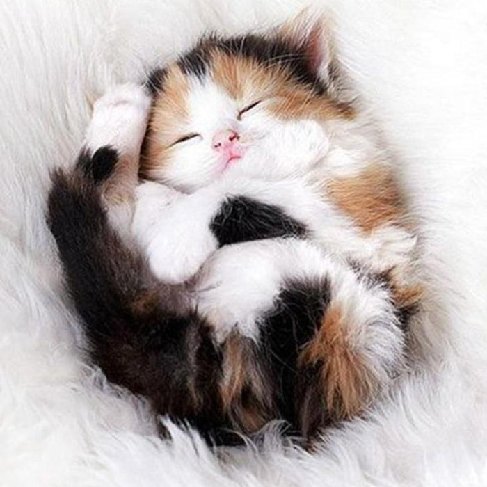 Cute Sleeping Kitten 5D DIY Paint By Diamond Kit