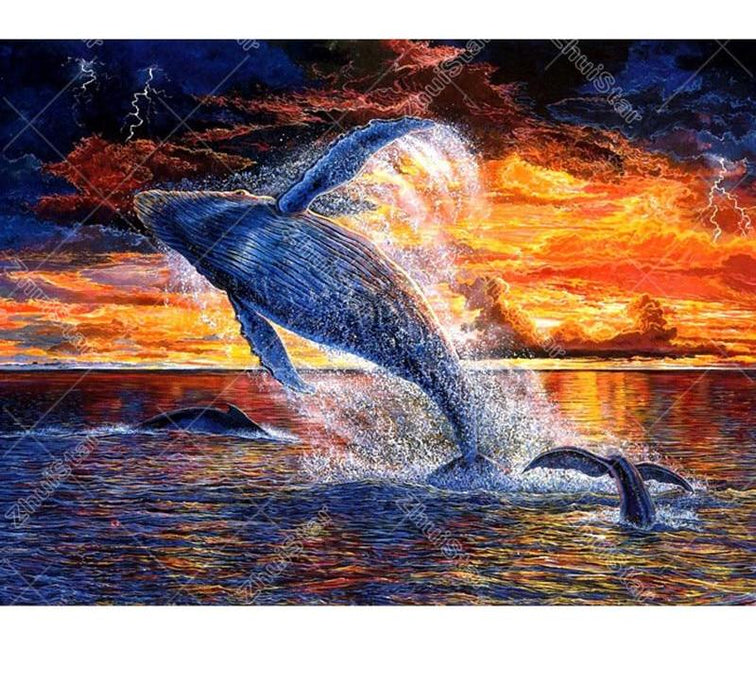 Jumping Whale 5D DIY Paint By Diamond Kit