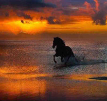 Sunset Horse 5D DIY Paint By Diamond Kit