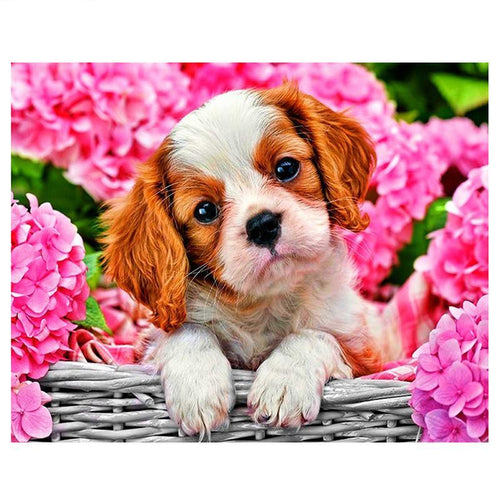 Puppy In Basket 5D DIY Paint By Diamond Kit