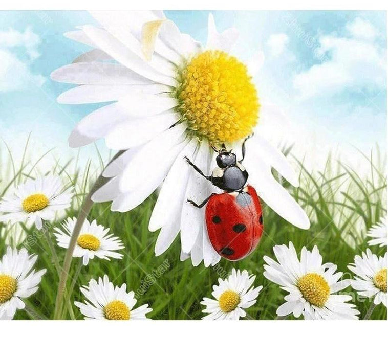 Ladybugs & Flower 5D DIY Paint By Diamond Kit