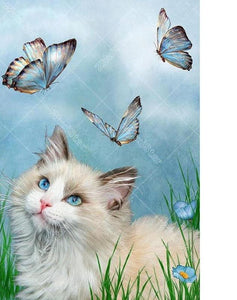 Cat & Butterflies 5D DIY Paint By Diamond Kit