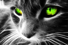 Green Eyed Cat  5D DIY Paint By Diamond Kit