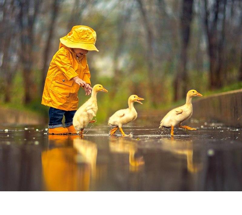 Kid Chasing Ducks 5D DIY Paint By Diamond Kit