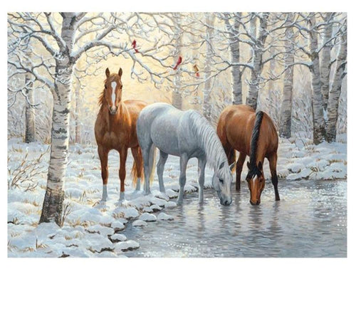 Horses 5D DIY Paint By Diamond Kit