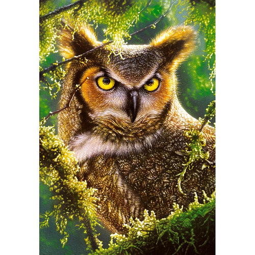 Woodland Owl 5D DIY Paint By Diamond Kit