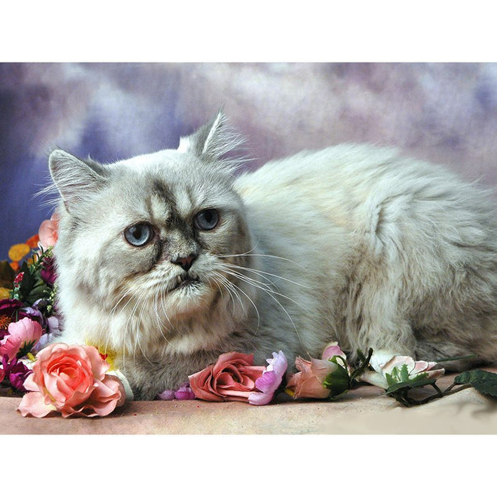 White Cute Cat 5D DIY Paint By Diamond Kit