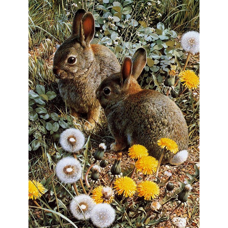 Two rabbits & Flowers 5D DIY Paint By Diamond Kit