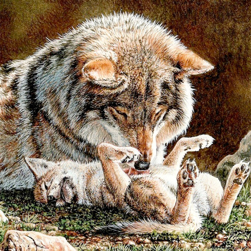 Mother & Baby Wolf 5D DIY Paint By Diamond Kit