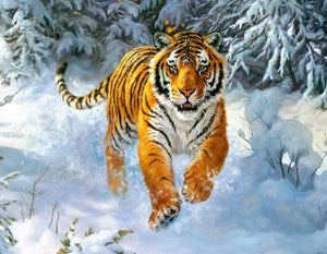 Tiger In The Snow 5D DIY Paint By Diamond Kit