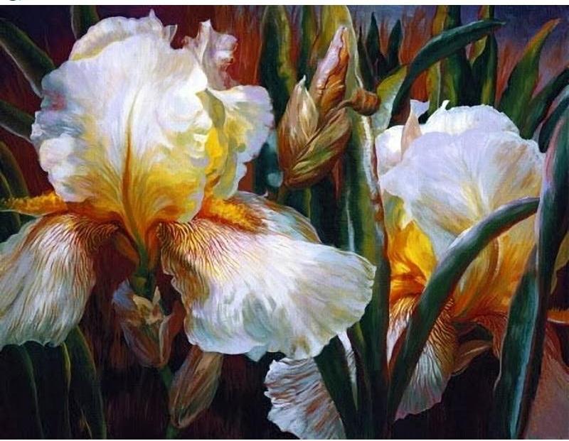 White Iris Flower 5D DIY Paint By Diamond Kit