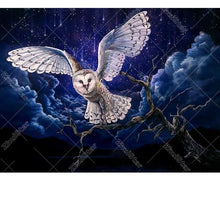 Flying Owl 5D DIY Paint By Diamond Kit