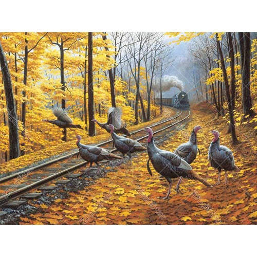 Pigeons on iron tracks 5D DIY Paint By Diamond Kit