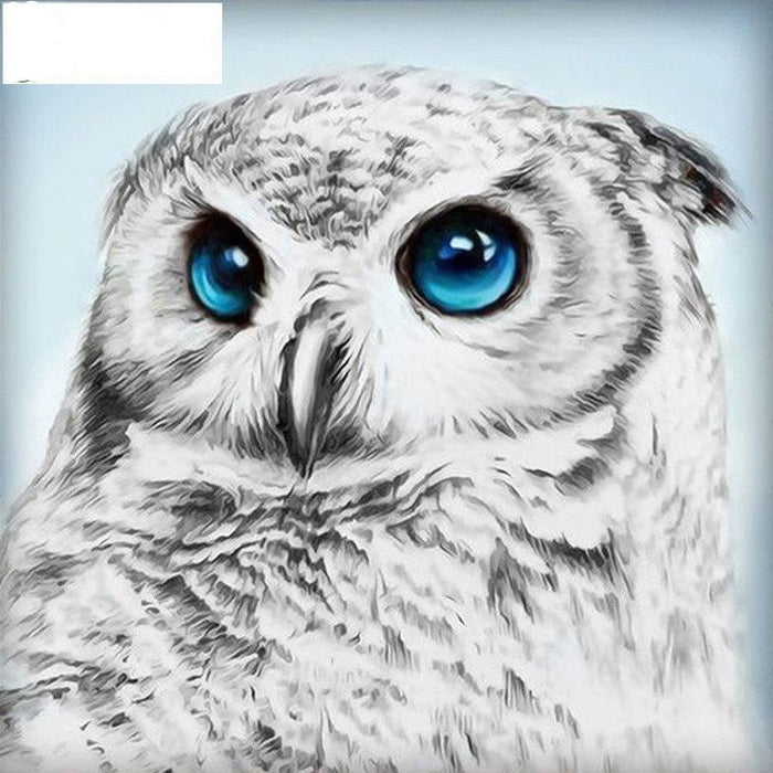 White Owl 5D DIY Paint By Diamond Kit