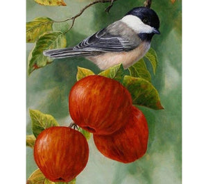 Bird On Apple Tree 5D DIY Paint By Diamond Kit