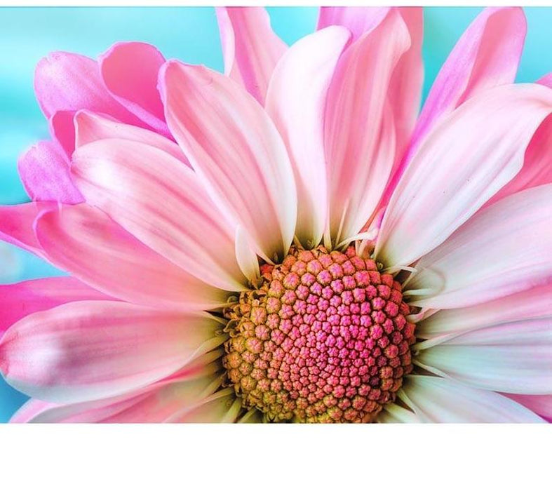 Pink Sunflower 5D DIY Paint By Diamond Kit